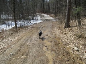 Thunder Lake Trail Nessie