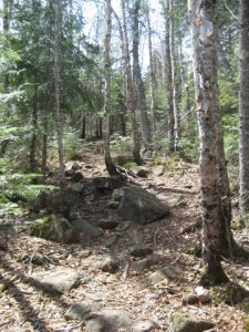 SHT-Crosby-Manitou rocks