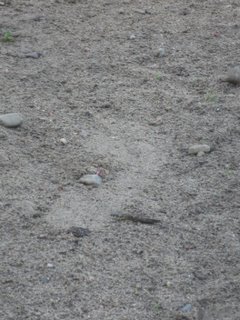 Feelmax running shoe - print 2