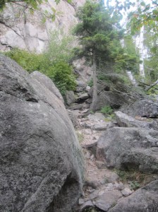 2013-ST100-Carlton-1