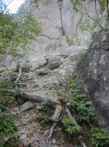 2013-ST100-Carlton-2