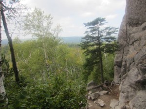 2013-ST100-Carlton-4